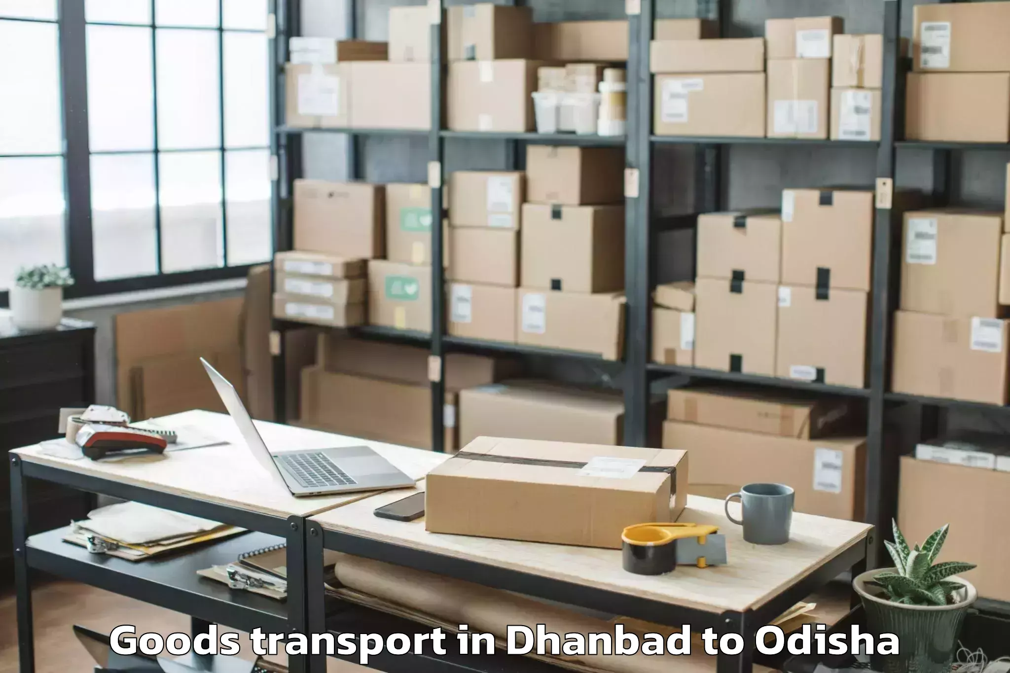 Book Dhanbad to Barkote Goods Transport Online